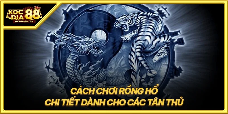 Cách chơi rồng hổ chi tiết dành cho các tân thủ