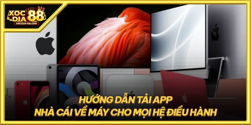 Hướng dẫn tải app nhà cái về máy cho mọi hệ điều hành