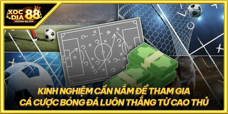 Kinh nghiệm cần nắm để tham gia cá cược bóng đá luôn thắng từ cao thủ