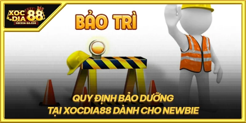 Quy định bảo dưỡng tại XOCDIA88 dành cho newbie