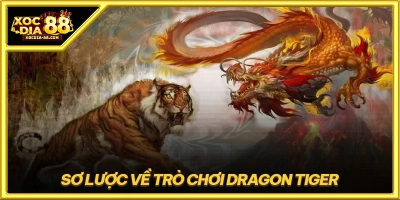 Sơ lược về trò chơi dragon tiger